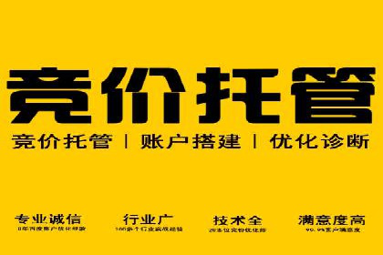 竞价推广公司的策略布局：某行业领导品牌的成功案例